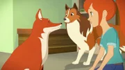 Zoé und Lassie begrüßen die Füchsin, die aus der Wildnis zum Haus von Zoés Familie gekommen ist.