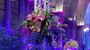 Rathaus dekoriert für den Blumenball.