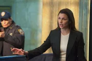 Erin Reagan-Boyle (Bridget Moynahan)