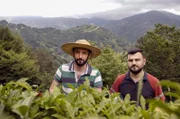 Schier endlose Teefelder in Rize – Tolga und Ibrahim ernten Teeblätter für die Dorfgemeinschaft.