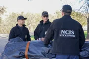 Nachdem eine Fahrerflucht einen Toten hinterlässt, nehmen Torres (Wilmer Valderrama, l.) und Gibbs (Mark Harmon, 2.v.l.) die Ermittlungen auf ...