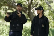 Timothy McGee (Sean Murray, l.); Jessica Knight (Katrina Law, r.)