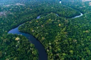 Schwarzwasserflüsse im Amazonas-System.