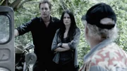 Alex O'LOUGHLIN, Michelle BORTH, Jimmy BUFFETT.