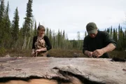 Chris und Jessi Morse häuten ein Bärenfell. (National Geographic/Jeffrey Alexander)