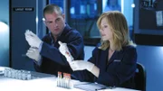 Nick (George Eads) und Catherine (Marg Helgenberger) versuchen im Labor herauszufinden, woran Julie Stern gestorben ist. Dabei können sie schnell ausschließen, das Julie Opfer des Ebola-Virus wurde.