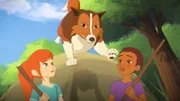 Mit einem beherzten Satz kommt Lassie Zoé und Harvey zu Hilfe, die den Wolf verscheuchen wollen.
