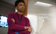 Special Agent Tiffany Wallace (Katherine Renee Turner)