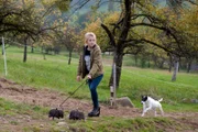 Cookie (Jule Schuck) muss mit zwei Minischweinen um Nellys Aufmerksamkeit buhlen.
