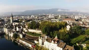 Die Linde.