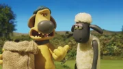 Shaun möchte zur Abwechslung einen Apfel essen.