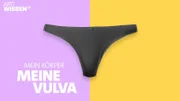 Schamlippen, Schamhügel – schon die Begriffe zeigen, wie tabu die Vulva ist. Die Doku holt die Vulva aus dem Schambereich.