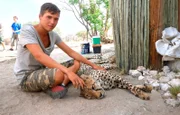 Die Tier-Doku begleitet Pfleger und freiwillige Helfer, die auf der namibischen Wildtierfarm der Harnas Wildlife Foundation rund 400 Tiere versorgen. Heute steht die Reinigung des Nashorngeheges auf dem Programm. Volontär Eric unterstützt Geparden-Forscherin Caro.