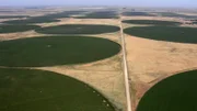 Kornkreise in der Wüste: Sogenannte Pivot-Beregnungssysteme verwandeln trockenen Boden in grünes Ackerland.