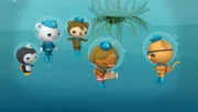 Drückerfisch Trudi verabschiedet sich von ihren neuen Freunden (v.li.) Peso, Käptn Barnius, Sebastian, Dana und Kwasi.