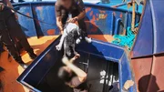 Die Zollbehörde untersucht ein Boot mit einem Hund an Bord.
