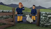 Das Gatter der Schafsweide ist kaputt. Wohin nur mit Wooly?
