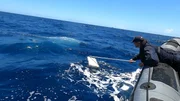 Das Navy-Boarding-Team stellt Drogen sicher.