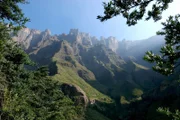 Universum: "Im Bann der Drachenberge", Ein Portrait des höchsten Gebirges im südlichen Afrika. Die Drakensberge sind ein südafrikanischer Nationalpark und Weltnatur- und -kulturerbe. Die Hauptdarsteller des Films sind ein Trupp von Pavianen und eine Familie von Elen-Antilopen. Beide Arten ziehen mit den Jahreszeiten und dem verfügbaren Nahrungsangebot Jahr für Jahr aus den Ebenen am Fuß der Drakensberge hinauf in die Gipfelregion, wo sie Kälte, Stürme und heftige Unwetter erwarten. Der Film wird im Speziellen ein Elen-Kalb ein Jahr lang auf seinem Weg durch die Bergwelt und beim Heranwachsen begleiten