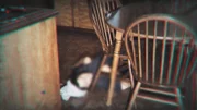 Die Frau des Farmers wurde in ihrer Küche in Iowa ermordet aufgefunden