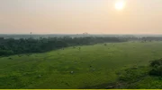 Was haben hochwertige Ledersitze in deutschen Luxusautos mit dem Amazonas zu tun? – Die brasilianische Lederindustrie versorgt auch deutsche Luxusautos mit diesem edlen Material. Für die dafür benötigten zigtausend Rinder braucht sie Platz und hat in den letzten 20 Jahren eine Waldfläche fast so groß wie Deutschland abgeholzt.