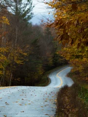 A creepy road.