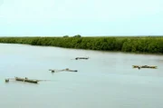 Die Casamance im Süden Senegals ist eine riesige „grüne Lunge“ mit einem Labyrinth aus Mangroven und heiligen Wäldern und erstreckt sich entlang des gleichnamigen Flusses.
