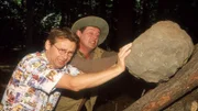 Um ein Gegengewicht für die Tierfalle zu haben, müssen Benno (Willi Thomczyk, r.) und Lothar (Rene Heinersdorff) einen schweren Stein auf den Baum schaffen.