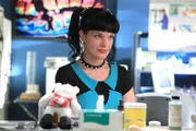 Ein neuer Fall beschäftigt Abby (Pauley Perrette) und ihre Kollegen ...