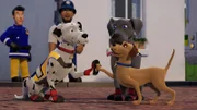 Schnuffi, Luna und Buddler sind ein gutes Team.