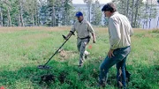 Oak Island Fluch und Legende Season 9 EP Goldrausch