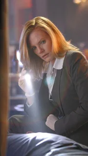 Nachdem ein ber&uuml;hmter Komiker w&auml;hrend einer Vorstellung in einem Comedyclub tot zusammengebrochen ist, sucht Catherine (Marg Helgenberger) in dem Club nach verwertbaren Spuren.