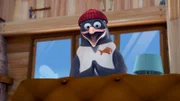 Pinguin