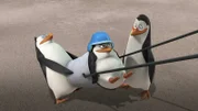 L-R: Rico, Private, Kowalski