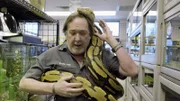 In seinem Fachgeschäft verkauft Ken Foose verschiedene Reptilien, darunter auch diese gigantische Netzpython.