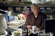 Ein neuer Fall wartet auf Gibbs (Mark Harmon) und seine Leute ...