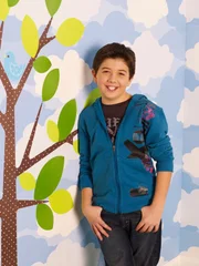 GOOD LUCK CHARLIE - Bradley Steven Perry stars as Gabe on Disney Channel's "Good Luck Charlie."