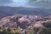 Yoshino-yama bezeichnet die Bergregion im Süden der Präfektur Nara. Der Ort ist besonders für seine blühenden Kirschbäume bekannt und wurde 2004 zum Weltkulturerbe erklärt.