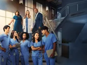 19. Staffel