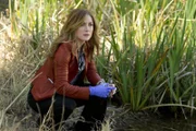 Hat eine illegal installierte Fracking-Anlage etwas mit einer Mordserie zu tun? Dr. Maura Isles (Sasha Alexander) sichert die Spuren am Tatort.