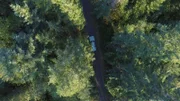 Die Polizei fährt durch den Wald.
