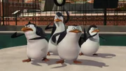 L-R: Rico, Kowalski, Skipper, Private