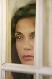 Susan (Teri Hatcher) versucht sich mit dem neuen schwulen Pärchen, Lee und Bob, anzufreunden, tritt dabei jedoch in ein fulminantes Fettnäpfchen ...