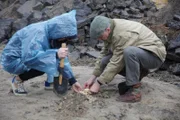 Auch die Landmine macht ganze Gebiete für den Gegner unpassierbar und lenkt seine Bewegung.