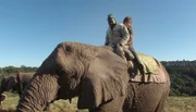 Tierpflegerin Ellen Hinz macht einen Elefantenritt.