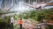 Stephen und die Expertin Dr. Susie Maidment betrachten zwei Diplodocus.