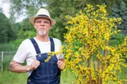 Über 1100 Naturbeobachter in Deutschland berichten über die Jahreszeiten. Die Geschichte eines besonderen 81-jährigen Naturbeobachters erzählt Thomas D, bei „Wissen vor acht - Natur“.