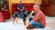 Hundecoach Andreas Ohligschläger (r) zusammen mit Schweizer Sennenwelpe Chester beim ersten Training. Hundehalter Paul schaut im Hintergrund zu.