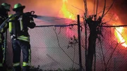 Meter-high flames blaze on a secluded property - surrounded by dense vegetation.