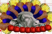 Was haben wir mit Ratten, Goldfischen und Wildschweinen gemeinsam? Antwort: Wir alle sind Allesfresser und ernähren uns sowohl von Pflanzen als auch von Tieren.